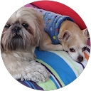 Guillermo Mancisidor Sanchez profile picture